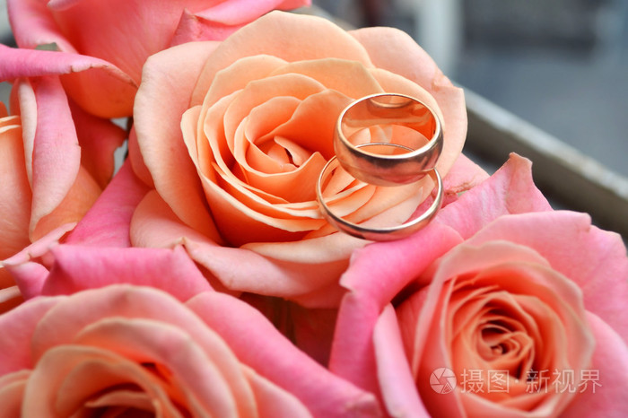 在粉红色的玫瑰花的美丽婚礼花束上的两个金色的订婚戒指.