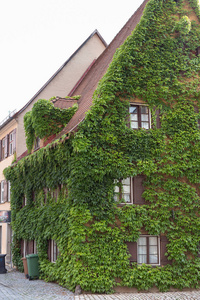 在德国南部的一个历史名城巴伐利亚, 在夏季, 你会看到建筑和房子的门窗和绿色植物像常春藤周围