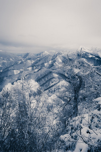 积雪覆盖的山