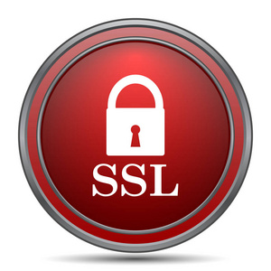 ssl 图标