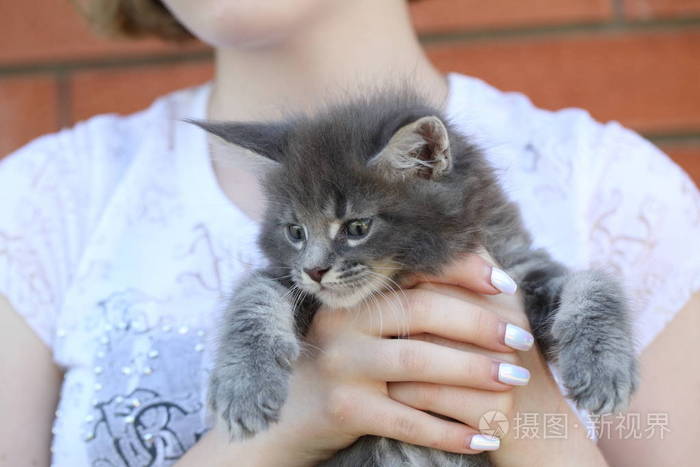 女生猫手姿势正脸照图片