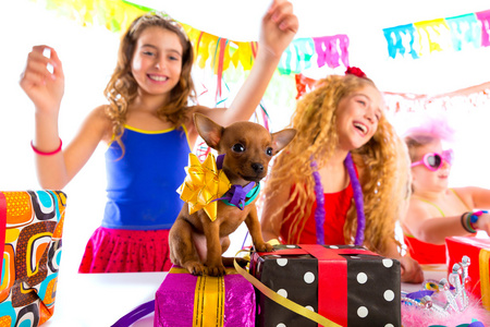 女孩的朋友聚会跳舞与礼物和小狗
