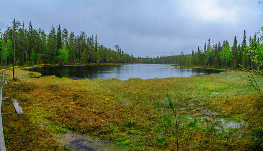 芬兰 Oulanka 国家公园小径森林和湖泊景观