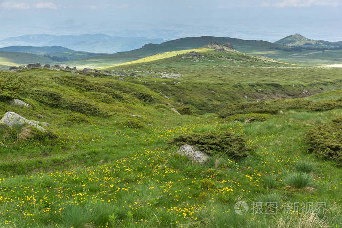 保加利亚索非亚 Cherni Vrah 峰附近的 Vitosha 山景观