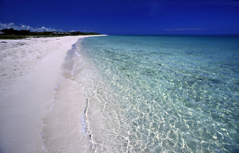 美国古巴的巴拉德罗海滩