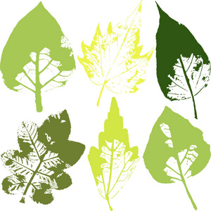 向量枝和叶。手工绘制的花元素。老式单色植物学插图。白色背景上的黑色叶子的印章。生态和生物标志元素