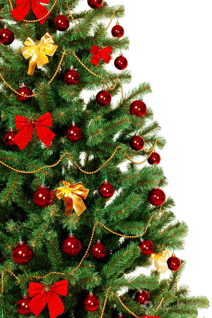 在白色背景上孤立的圣诞树