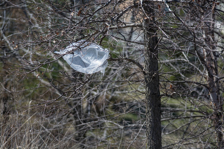 塑料购物袋在幼树的树枝上慢慢分解