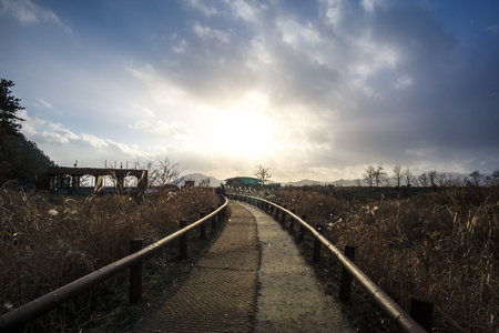 顺天湾走道