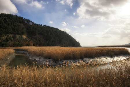 顺川公园