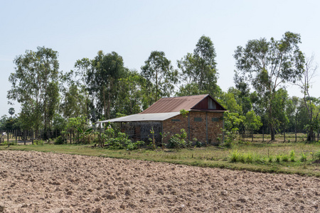 柬埔寨的农场