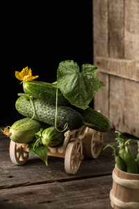 在木制推车上的绿色鲜黄瓜。健康饮食观念。素食。蔬菜背景