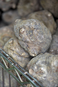 马铃薯魔芋,亚洲块茎及日本料理魔芋,配料及主食的原料照片