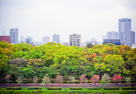 景观角度出发的大都市大阪市