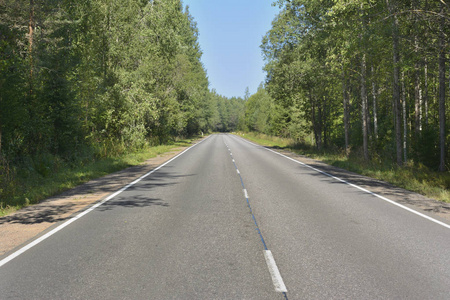 公路旁花卉图片