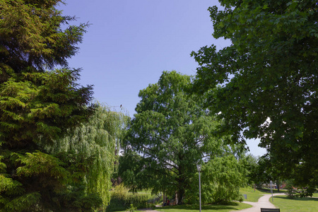德国南部城市公园的绿色春季树木历史景观