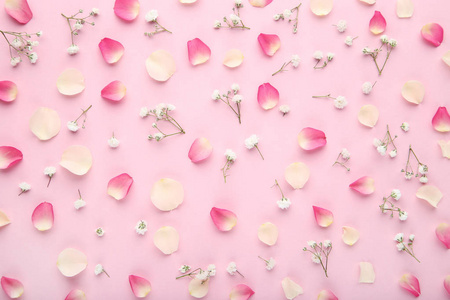 粉红色背景上的玫瑰花瓣和满天星花