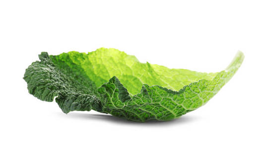 白色背景的萨霍米卷心菜的绿叶图片