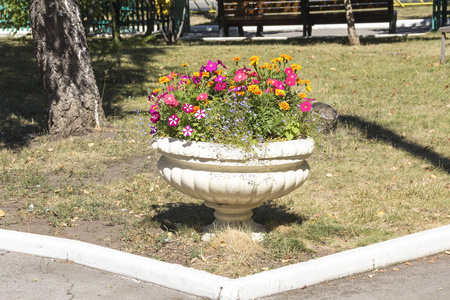 城市公园, 草坪上有鲜花的花盆