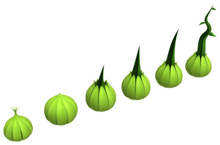 植物藤蔓绿色芽芽, 3d 插图, 水平, 孤立, 超过白色