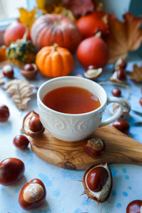 宜人的秋天早晨与杯子茶, 装饰的南瓜, 坚果, 玉米, 栗子并且秋天叶子在浅蓝色背景