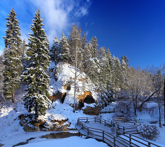 与森林和冰雪覆盖的冬季景观