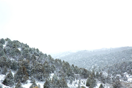 内华达州美国的春天雪在山