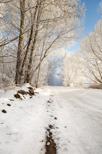 在白雪皑皑的森林景观的冬季道路