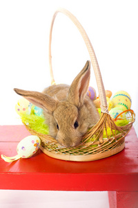 兔子在篮子复活节彩蛋