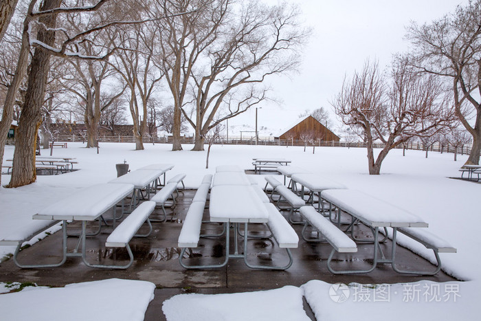美国内华达州第一场雪在公园里