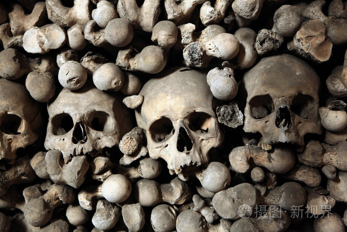 人类骨头和头骨