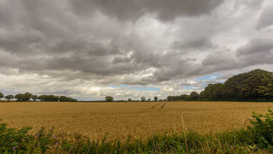 领域在萨默塞特英国 B, Cloudscape 在雨之前, 夏天2018