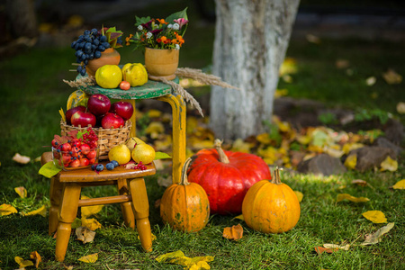 秋季场景与植物, 南瓜, 苹果在柳条篮子, 陶瓷壶, 木椅, 复古风格, 在花园中的成分, 户外