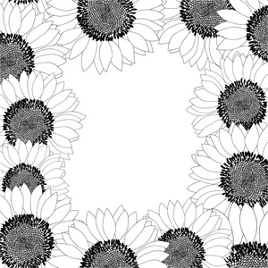 向日葵边框轮廓被隔离在白色背景上。矢量插图