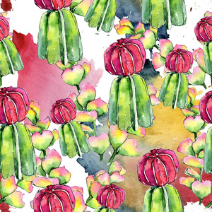 异国情调的热带植物夏威夷夏天.植物海滩树叶子丛林植物肉质.