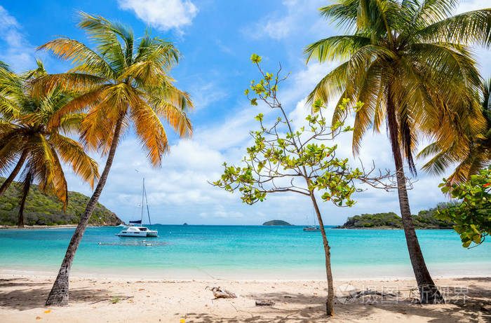 mayreau 岛上的白沙,棕榈树和绿松石加勒比海海水的田园风情热带海滩