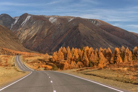 五颜六色的秋天景观与沥青道路在山上的第一个雪和金色的树在路边的蓝色天空和云彩的背景