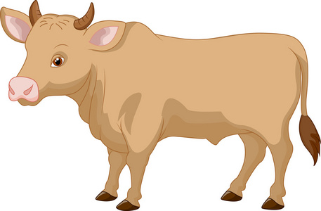 毕克化学卡通牛照片