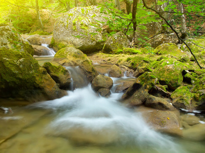 河在山地森林深处