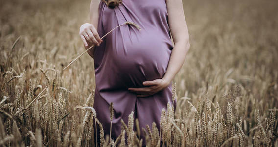 小麦领域的孕妇