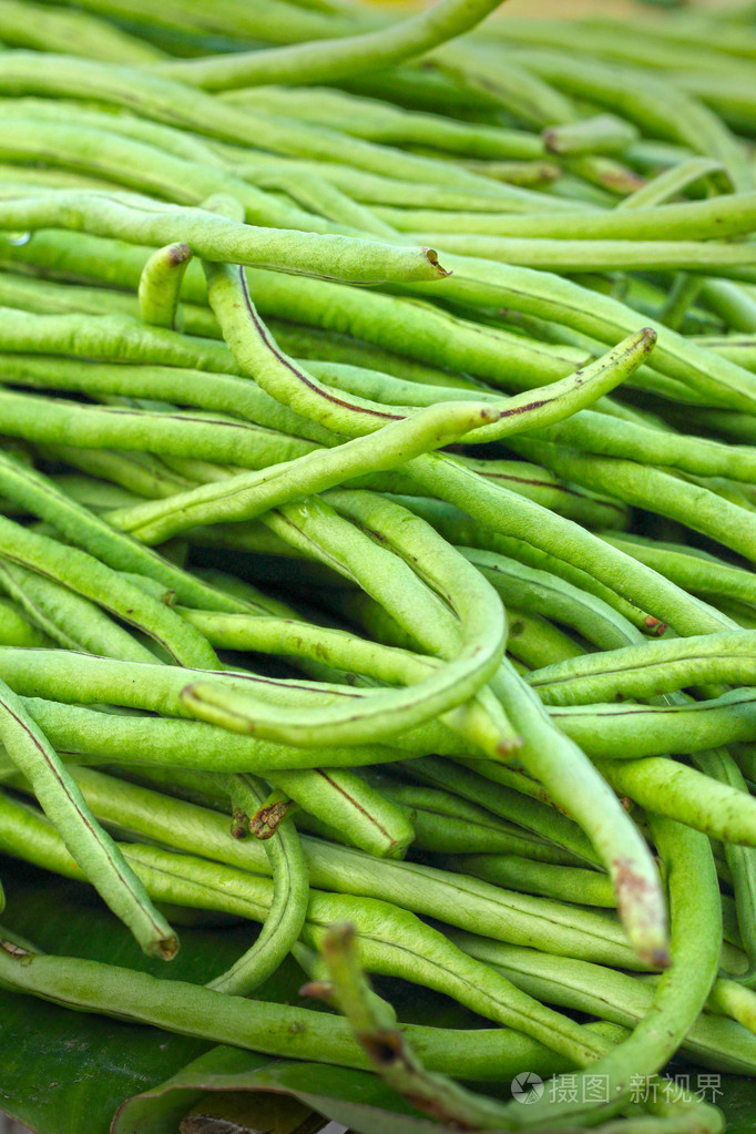 在市场中的长豆