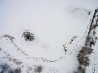 无人机图像。在多雪的冬天, 可以看到有田野和森林的农村地区的鸟图。在雪中纹理