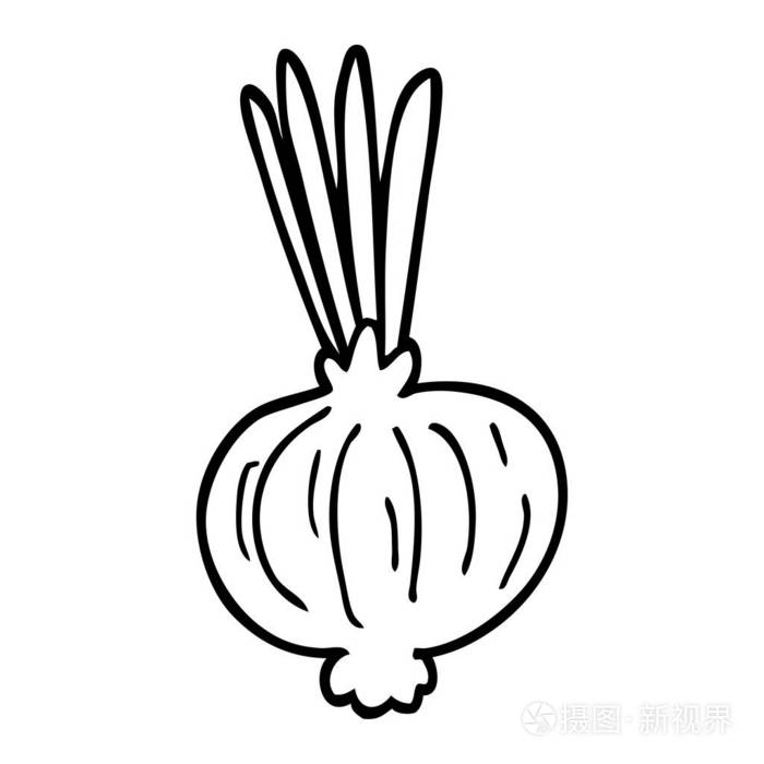 线条画动画片洋葱