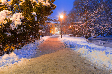 冬天的景色在格但斯克雪公园