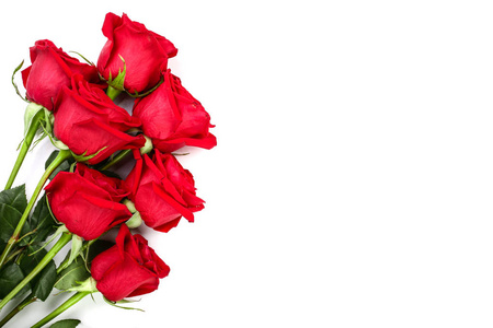 美丽的红玫瑰与树叶隔绝在白色背景与复制空间为您的文本。顶部视图。平躺模式