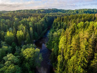 无人机图像。在多云的春日, 在河流中看到了农村地区的田野森林和水的反射。拉托维亚
