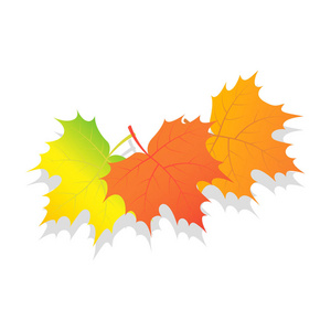 秋天叶子的集合图标, 等距样式