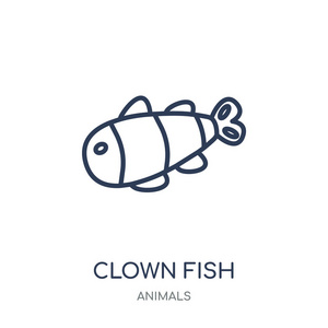 小丑鱼图标。小丑鱼线性符号设计从动物收藏。简单的大纲元素向量例证在白色背景