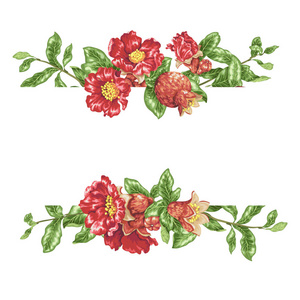 带盛开花朵的石榴果枝在横向标题边界上的装饰元素