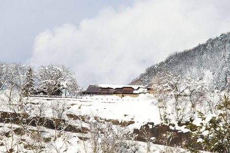 在日本白川去的雪的山上的观景